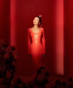 AUS Shopify Store PETIT PALACE MIDI DRESS Back In Stock